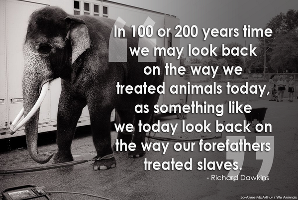 peta's tweet photo. RT if u agree w/ Richard Dawkins! http://t.co/CF2F5k0Yfs