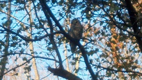 Taken today while out metal detecting. Any idea what kind.