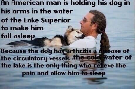 CauseWereGuys's tweet image. Man's Best Friend