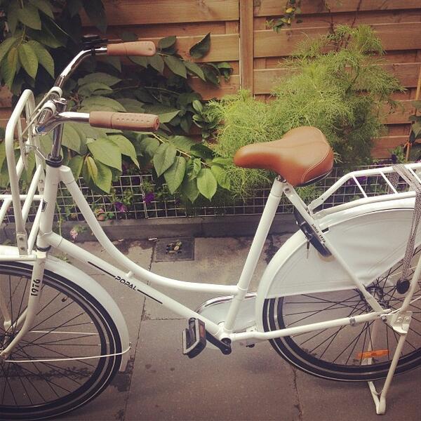 popal ladies bike