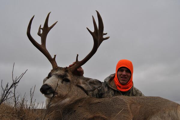 jneuts's tweet photo. My 2013 mule deer is down!! #bigbuck #awesomehunt http://t.co/OkLcRhQSiY