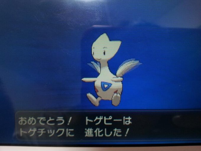 ポケットモンスターxy 色違いポケモン攻略 報告画像集 10 49 Renote リノート