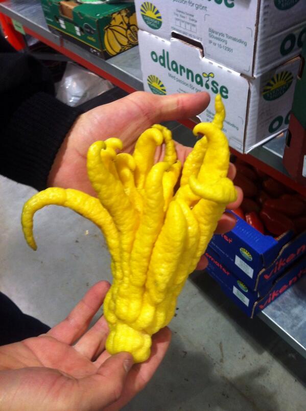 bostapelle's tweet photo. Kanske den godaste citrusen. http://t.co/wQKff9aLaJ