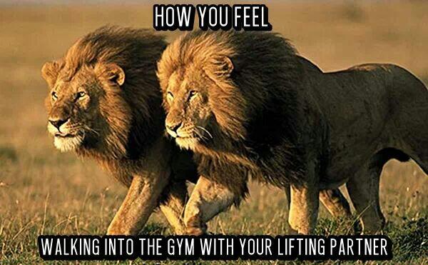 #Lifting Partner's <a href="/Reiniarndt69/">Reinhard Arndt</a> <a href="/JasonMigal/">Jason Migal</a> <a href="/Stef_jvr13/">Stephan J v Rensburg</a> #MondayMotivation  - Die einde iis in sig! #vasbyt!