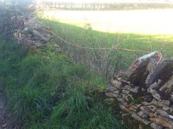 aliceinwellies's tweet image. Drystone wall collapsed? No problem. Just fix it with some bailing string #farmerlogic #whatcantitfix