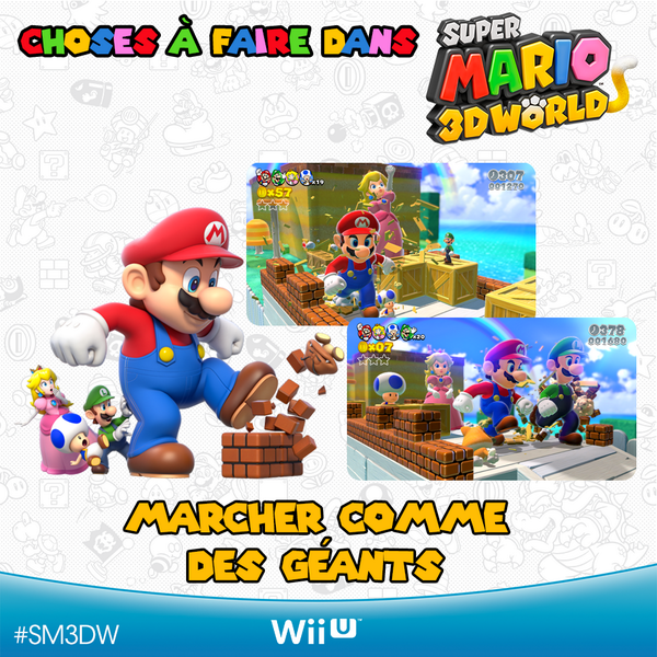 NintendoFrance tweet picture