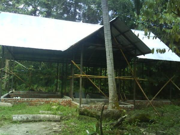 abahrei's tweet photo. @KalimantanPromo  jual tanah&amp; bangunan lokasi batakan harga 70jt ket lebih lanjut bisa add 26AB3B52/sms 085246459884 http://t.co/XIkX6DF0ON