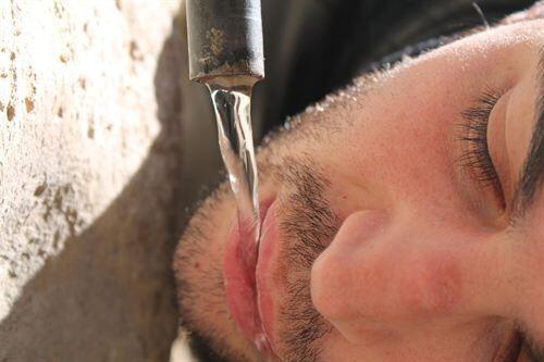 Nutritional Educatio tweet media