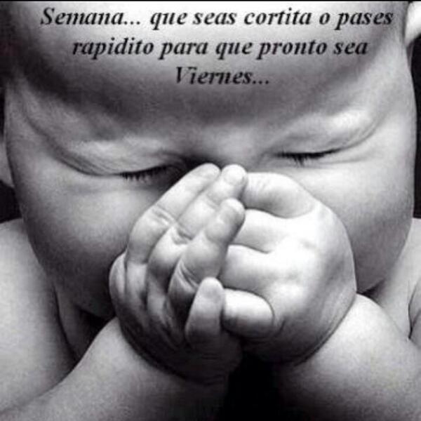 kathyestevez88's tweet photo. #Lunes.... #VamosQueSePuede...!!! http://t.co/oOrlQHH3AT