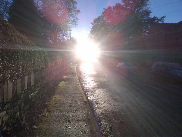 JAKETAG94's tweet image. #basking #takeanysunicanget #hatebeingcold