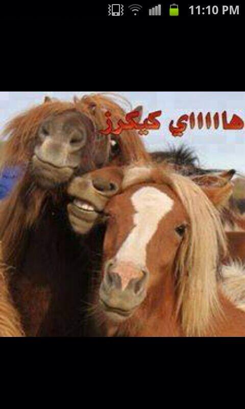 saif $ (@sai_shaker) on Twitter photo 