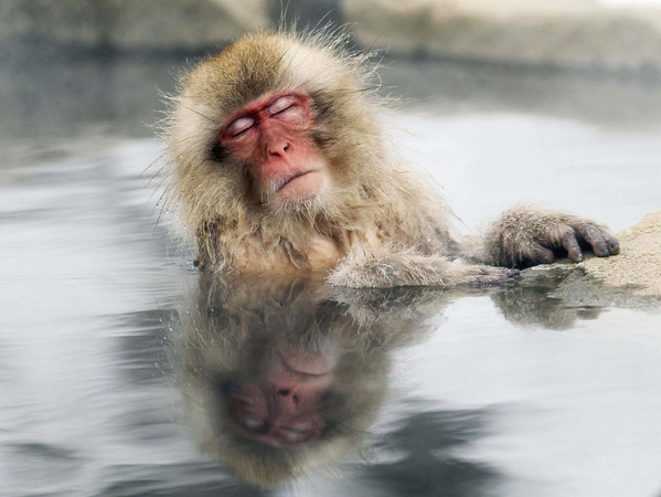 PHPDeveloper7's tweet image. Who couldn’t use a little rest #healthWIN @getmyHINT
.myhint.co