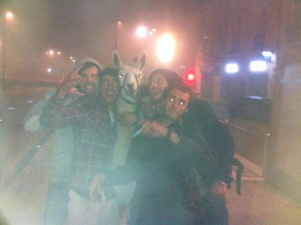 RaiRobledo's tweet photo. Detenidos 5 jóvenes en Francia por robar una llama y llevársela de fiesta. http://t.co/GUACSFIdkz http://t.co/RaxnZTGic4