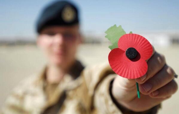 poppypride1's tweet image. WEAR YOUR POPPY WITH PRIDE 
how many will retweet ?