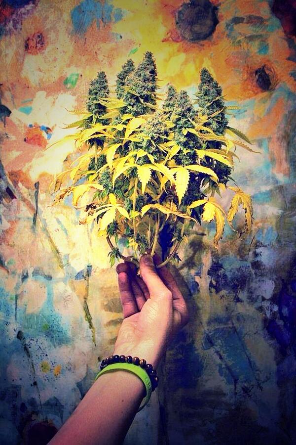 Thecliffjensen's tweet photo. Baby I brought you some Flowers ;) <3 #StonerNation http://t.co/QsJ75GTqRQ