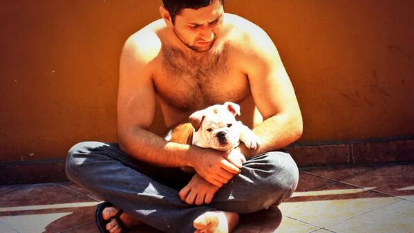 AraPella's tweet photo. Bulldog's inglés en venta. Aquí! http://t.co/Hm0m8ojRzB