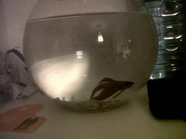 EduRiaza's tweet photo. "@Isagomez_12: http://t.co/XD4I8QUfzB" mola mazo mi peez!! @dolly_ali_