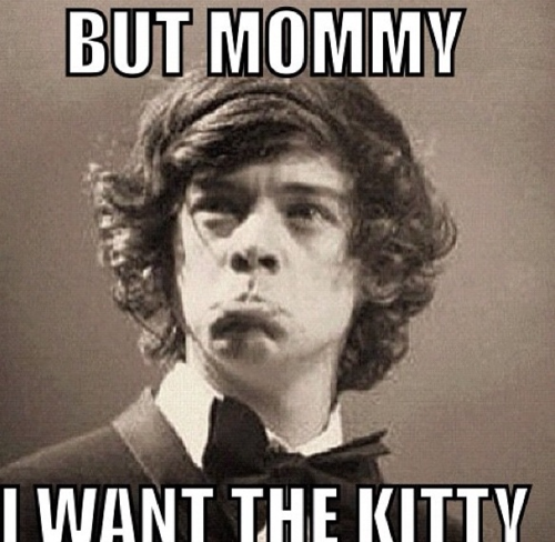 MaryAlien's tweet photo. @Harry_Styles okay okay, here is the kitty - now stop looking at me like that :'( #harrystyles http://t.co/WUfH0afZk6