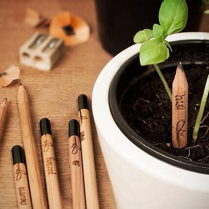 FFFDesignCo's tweet image. Awesome concept. A pencil and a plant. #sproutpencil #innovative #industrialdesign #productdesign #green #awesome