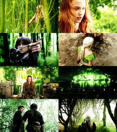 FandomPhotoo tweet picture