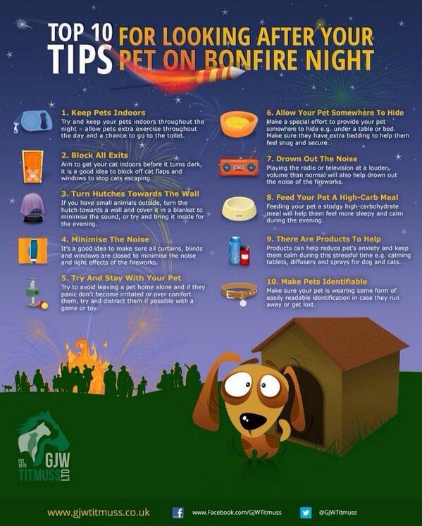 roukenglenvets's tweet photo. Fireworks night - please ensure your pets are kept safe 💥 http://t.co/q6CcVCYbfk
