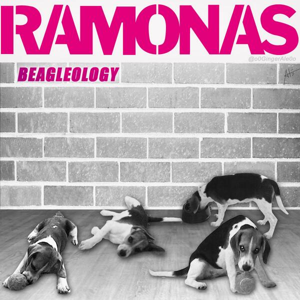 ¡¡¡¡No mamar, su nuevo disco esta #PERRÓN!!!!
#TheRamonas #Beagleology #Ramona