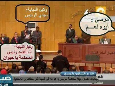 hmmzayed tweet picture