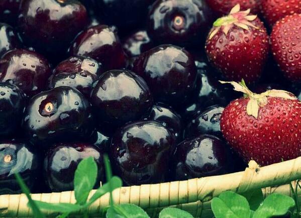 firsssovvva's tweet image. Сочных и ярких впечатлений,вам в новом дне,друзья!#доброеутра