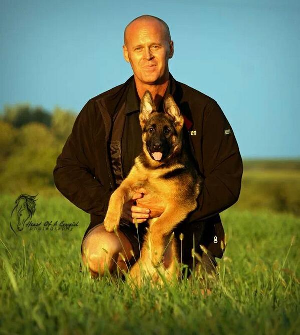 gsdpuppy's tweet photo. Shane with Sasha http://t.co/unvqDpoXd9