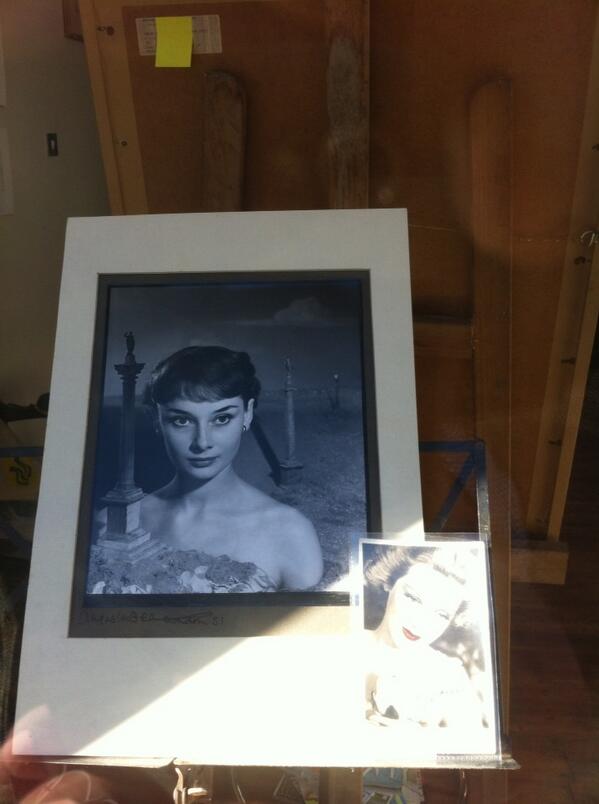 Crafty Sparrow (@craftysparrow1) on Twitter photo 