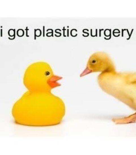 RobdAlessio's tweet photo. #surgery #plastic #duck http://t.co/7cTHk67tte