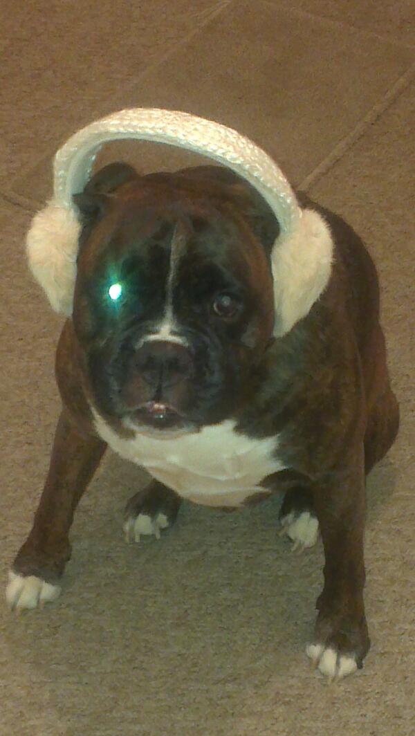 goonermog's tweet image. Snoop got his protective headwear on tonight to block out the noise of the fireworks.