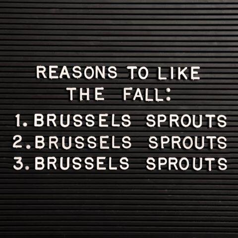 Comodonyc's tweet image. tis the season of the brussel sprout. HERE HERE #diginn