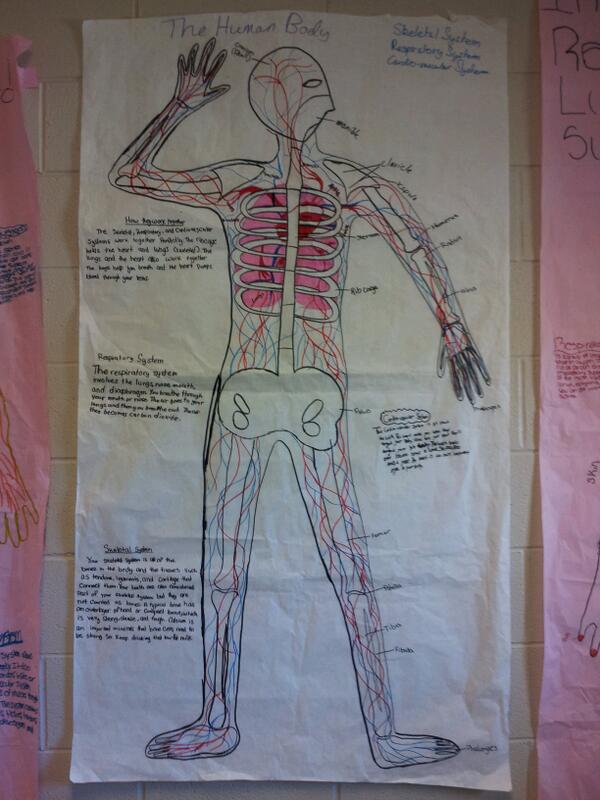 HallLifeScience's tweet photo. Come visit the body exhibit at VMMS the kids have worked so hard and did an awesome job! #NCSSBeTheBest http://t.co/12vgLApWTx