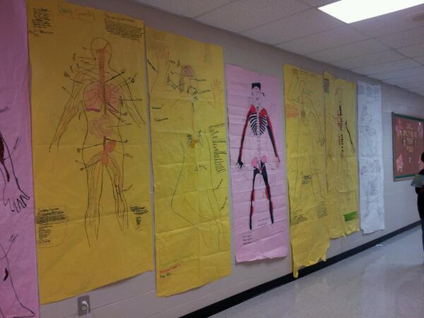 HallLifeScience's tweet photo. More of our body exhibit #NCSSBeTheBest http://t.co/qiURpBwJre