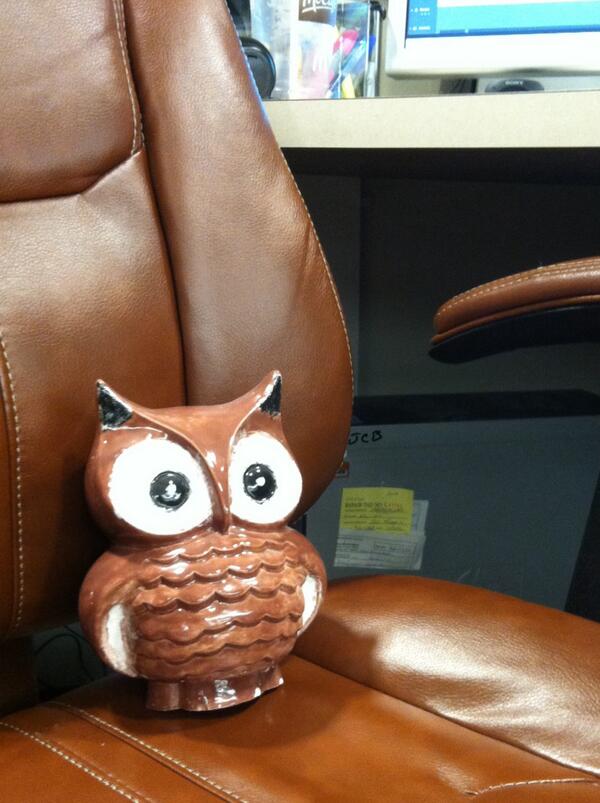 JCBLibrary1's tweet image. whooo can help you with your library needs? #libraryowl