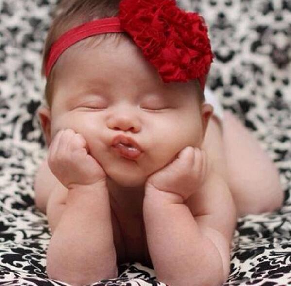 caarmenn1's tweet photo. “@losmasadorables: Buenas noches. http://t.co/4ScfgjKwAm”