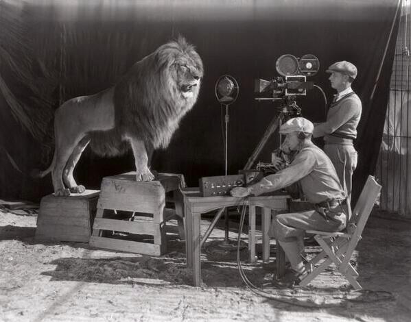 MMFlint's tweet photo. 1928, filming the MGM lion which would open every MGM movie. http://t.co/S8IbnqtQhB