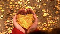 FLOWyogaNJ's tweet photo. this sunday,12-3pm, join amy jean for fall/winter ayurvedic workshop. #findyourdosha http://t.co/HUVKzrXuwY http://t.co/QyxU2OuPBS