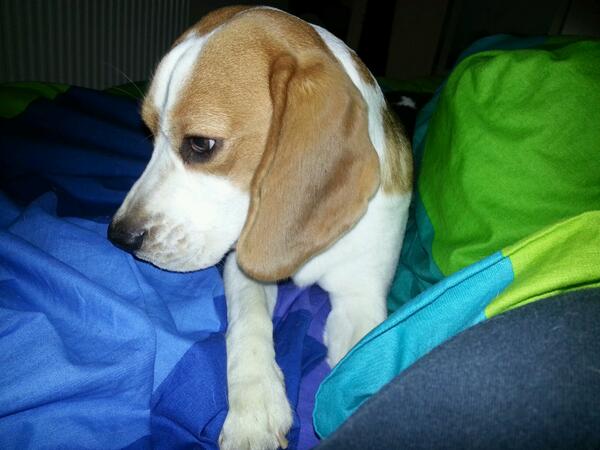 Im Bett kuscheln <3