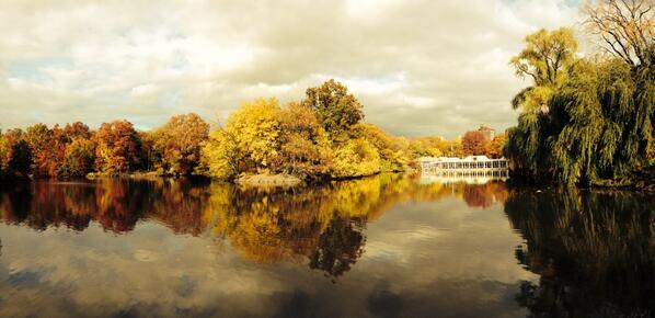 Chris_Platis's tweet photo. #centralpark #nyc #nycviews http://t.co/pGNOcI92w2
