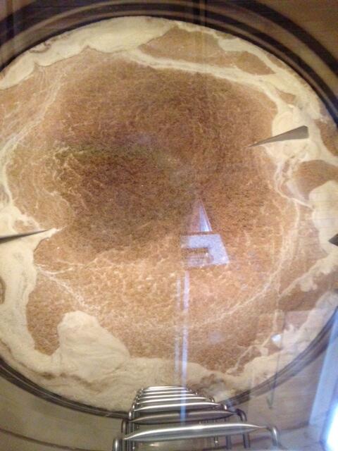 NOLA Brewing tweet media