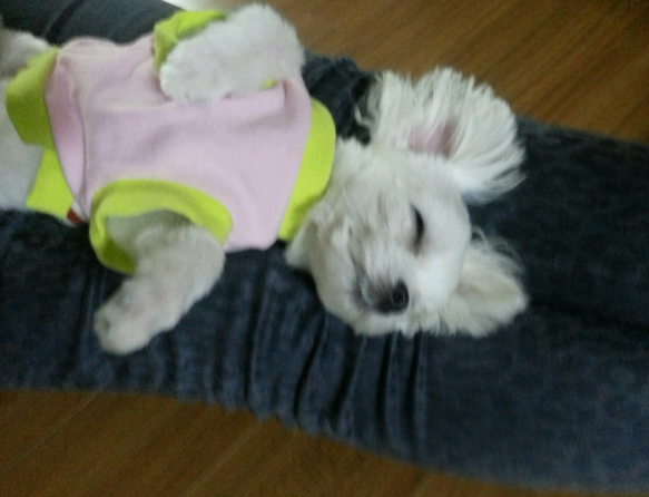 BYW6WFJCYAAkAgq.png:large