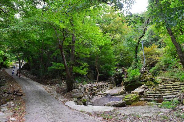 울긋불긋 물든 단풍을 보니 초록의 계절이 이제는 조금 희미해지시죠? 숲이 가지고 있는 초록빛은 우리 몸을 치유하는데 최고의 색이 되기도 한답니다. 오늘은 힐링컬러 '초록'으로 상쾌한 아침 시작하세요 :D