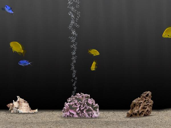 codys crazy wife tweet media