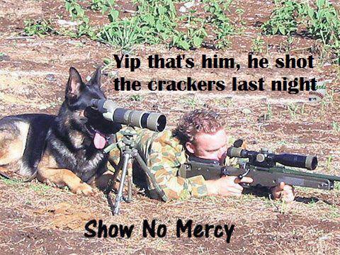 Hahaha dog owners will understand!