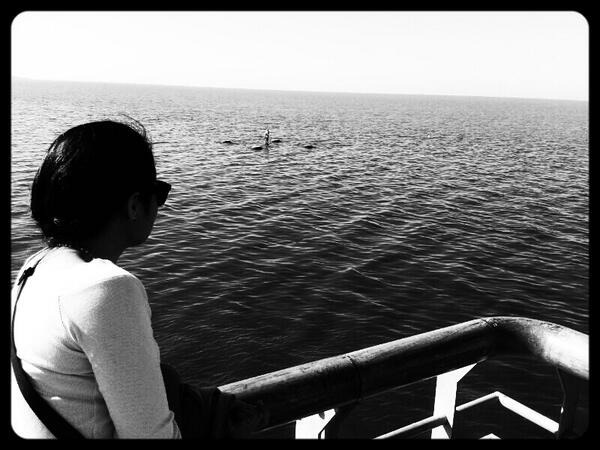 karina cabrera (@dannitaka) on Twitter photo 