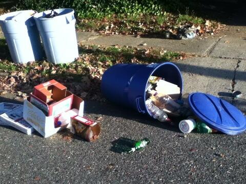 Witch_Dancer's tweet image. Was somebody in a hurry this morning, @clarajoy22 ? #backupFail