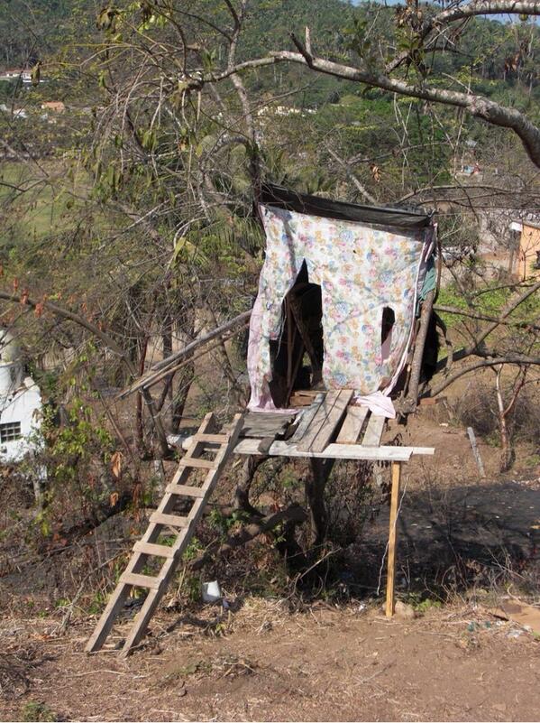 Challenge Anneka tweet media