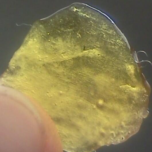 #ThisTHC4U ~Orange•Kush~ <a href="/GReeeeN_words/">GReeeeN_bot</a> <a href="/420YNOT/">420YNOT.com ™</a> <a href="/MrDC101/">OnlyGodCanJudgeMe</a> @OnlyEmily_ <a href="/codsmoke420/">cody hendrix</a> @Tw3akEvans <a href="/LBsCakez/">LBS Cakez</a> <a href="/kai_rama420/">Kaila Rama</a>